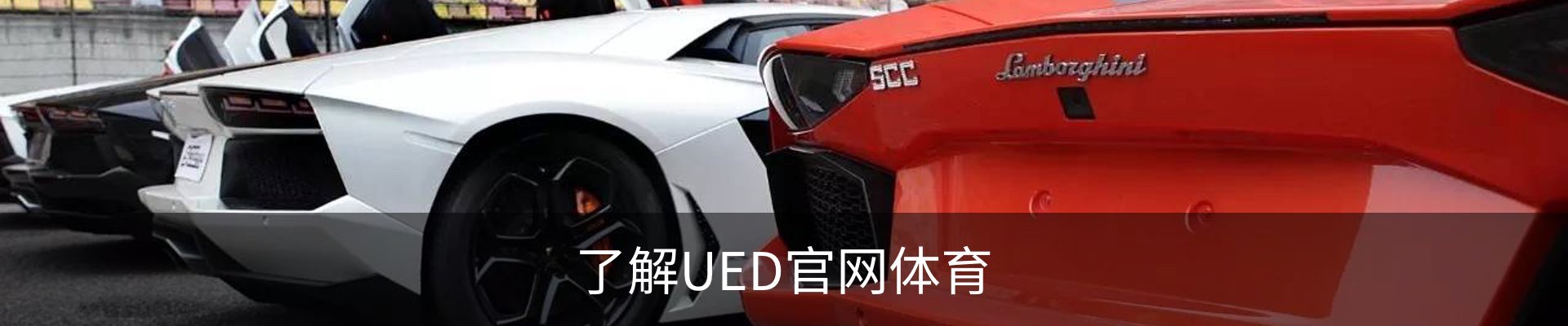 了解UED官网体育